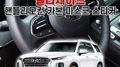 놓치면 후회! 팰리세이드 리모컨 초특가 후기 🚗✨