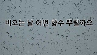 비오는 날, 어떤 향수 뿌릴까요? ☔️