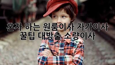 혼자 하는 원룸이사🏠? 자가이사 꿀팁 대방출! #소량이사